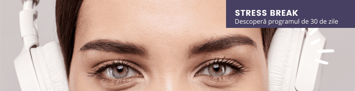 Program online Stress Break