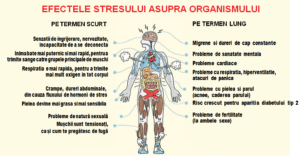 Stresul și hormonii: ce te omoară, te și vindecă! 3 Stresul si hormonii efectele2