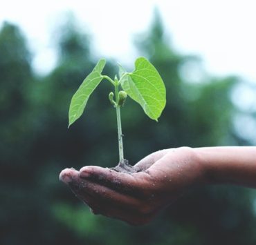 4 motive pentru care dezvoltarea ta personală e prioritară 7 4-motive-pentru-care-dezvoltarea-ta-personală-e-prioritară