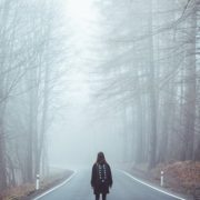 in-cautarea-sensului