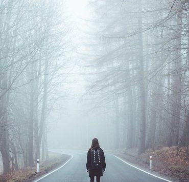 in-cautarea-sensului