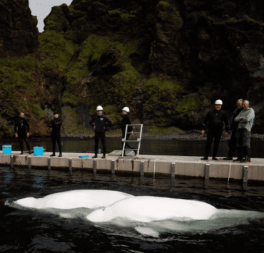 Maria Nila demarează noua campanie de caritate de Ziua Mondială a Veganilor 7 Maria-Nila-demarează-noua-campanie-de-caritate-de-Ziua-Mondială-a-Veganilor