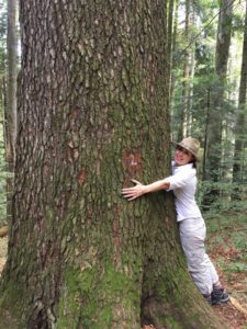 cristiana-pasca-palmer-natura