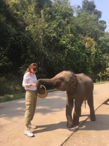 cristiana-pasca-palmer-nature