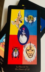 ReIMAGINE HUB - Descoperă Tarotul de Marrakech! 3 lumea