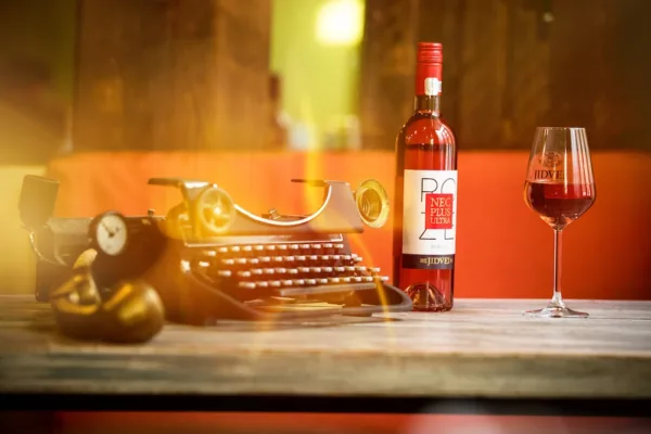 Nec Plus Ultra Mugur Cristescu