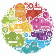 cele-opt-tipuri-de-inteligenţă