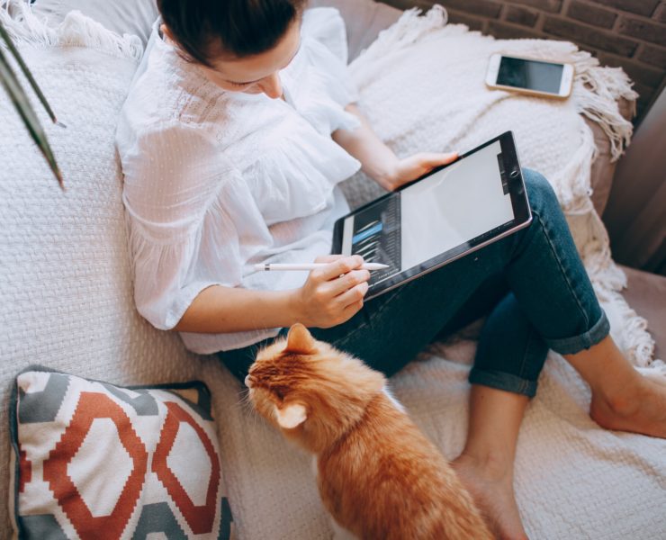 Cum să alegi animalul de companie potrivit stilului tău de viață