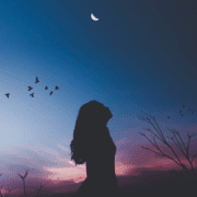 luna din fantana o carte despre forta transformatoare a povestilor