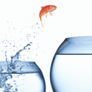 schimbăm-cariera-în-vremuri-de-schimbare