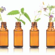 terapia-florală-Bach-detox-emoţional-la-final-de-an-copleşitor