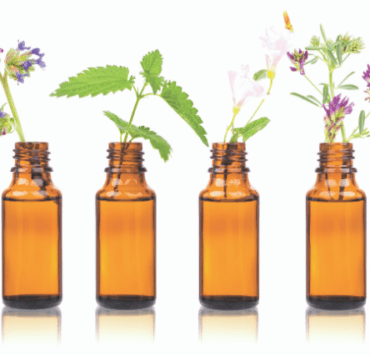 Terapia florală Bach: detox emoţional la final de an copleşitor 8 terapia-florală-Bach-detox-emoţional-la-final-de-an-copleşitor