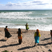 constelațiile-sistemice-astronomie-sau-terapie