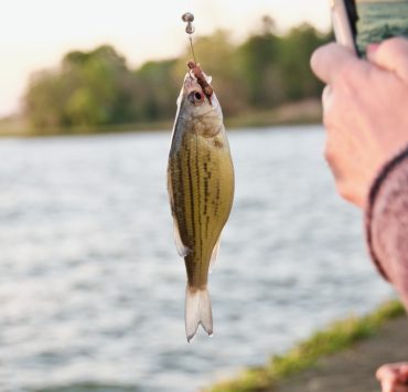 Odihnește-te lângă apă, în sezonul cald, în vacanță la pescuit 8 fishing 1