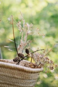 irina-neacşu-retreat-artă-botanică