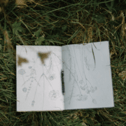 primul-retreat-de-artă-botanică