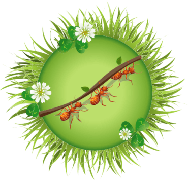 să-nu-ne-facem-de-râs-în-faţa-furnicilor