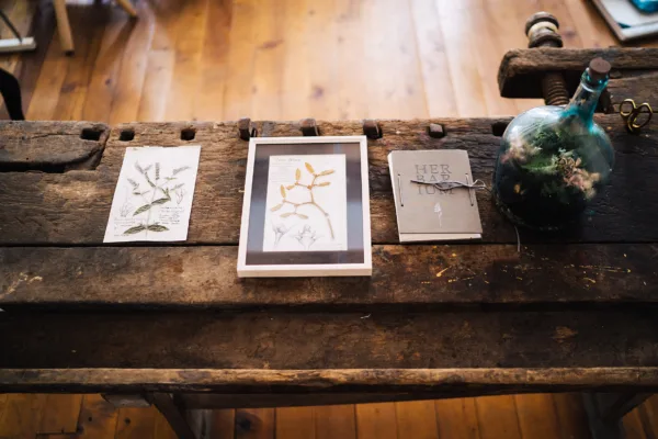 Start pentru Şcolile de Vară 3 Scoli Vara_IrinaNeacsu_CembraArt