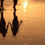 scrisoare-către-sufletul-meu-pereche