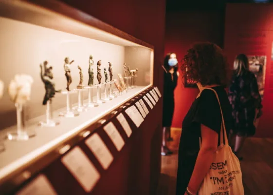 Noaptea Muzeelor revine în spațiul fizic 4 Muzeul-National-de-Istorie-a-Transilvaniei