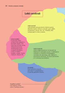 PREZENTARE - Mic ghid de sanatate - Creierul [2021]_013