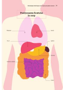 PREZENTARE - Mic ghid de sanatate - Ficatul [2021]_008