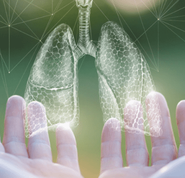 armonia-plămânilor