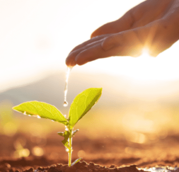 Cum să obții ce îți dorești folosind sistemul semințelor 9 cum-să-obții-ce-îți-dorești-folosind-sistemul-semințelor