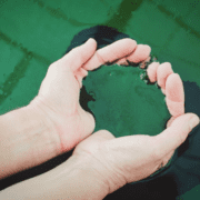 la-ce-ajută-spirulina