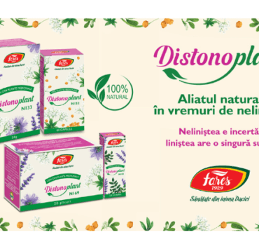 Liniștea vine din natură 13 liniștea-vine-întotdeauna-din-natură