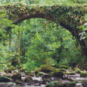 el-camino-drumul-cunoașterii-de-sine