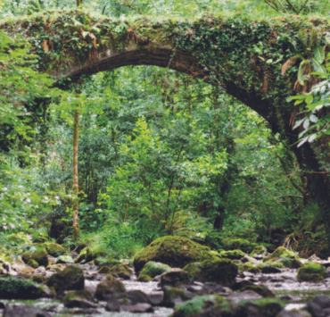 el-camino-drumul-cunoașterii-de-sine