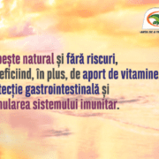 slăbeşte-sănătos-plantele-ayurvedice-care-îţi-reglează-metabolismul