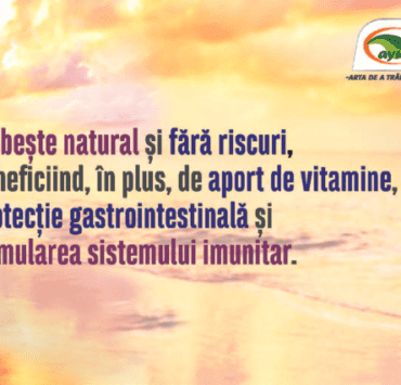 Slăbeşte sănătos! Plantele ayurvedice care îţi reglează metabolismul 9 slăbeşte-sănătos-plantele-ayurvedice-care-îţi-reglează-metabolismul