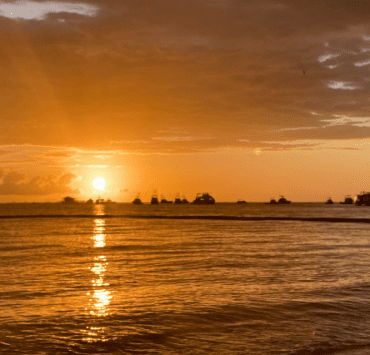 Discover the Planet, rediscover yourself! 9 discover-the-planet-rediscover-yourself