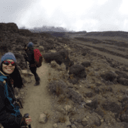 tea-teodorescu-de-la-știrile-radio-zu-până-în-vârful-lui-kilimanjaro