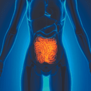 comunicarea-claritatea-și-intestinul-subţire-vreo-legătură