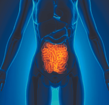 Comunicarea, claritatea și intestinul subţire. Vreo legătură? 8 comunicarea-claritatea-și-intestinul-subţire-vreo-legătură