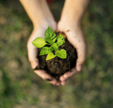 despre-biologie-cu-bucurie