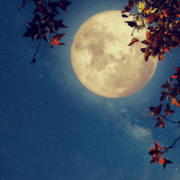 eclipsa-parțială-de-lună