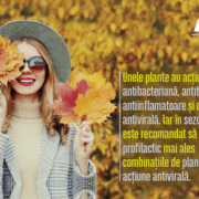 provocările-din-sezonul-rece