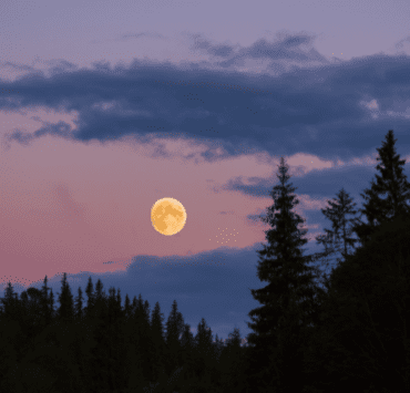 19 decembrie: lună plină în Gemeni 6 19-decembrie-lună-plină-în-gemeni