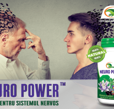 O minte liniștită înseamnă o viață liniștită 9 o-minte-liniștită-înseamnă-o-viață-liniștită