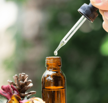 Terapia cu cel mai frumos nume: terapia florală Bach 9 terapia-cu-cel-mai-frumos-nume-terapia-florală-bach