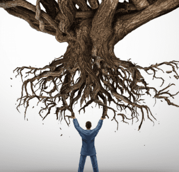 ignoranţa-răsfăţul-și-grandomania