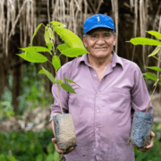 foreo-plantează-mii-de-copaci-cu-ajutorul-clienților-săi