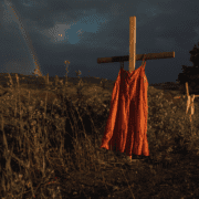 world-press-photo-expusă-în-piețele-publice-din-românia