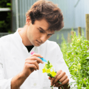 granturi-în-valoare-de-15000-de-euro-pentru-vizite-de-studiu