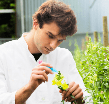 Granturi în valoare de 15.000 de euro pentru vizite de studiu 8 granturi-în-valoare-de-15000-de-euro-pentru-vizite-de-studiu