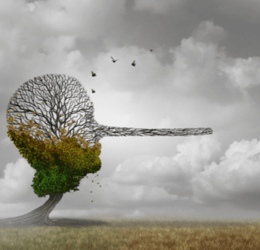 Autenticitatea 8 autenticitatea